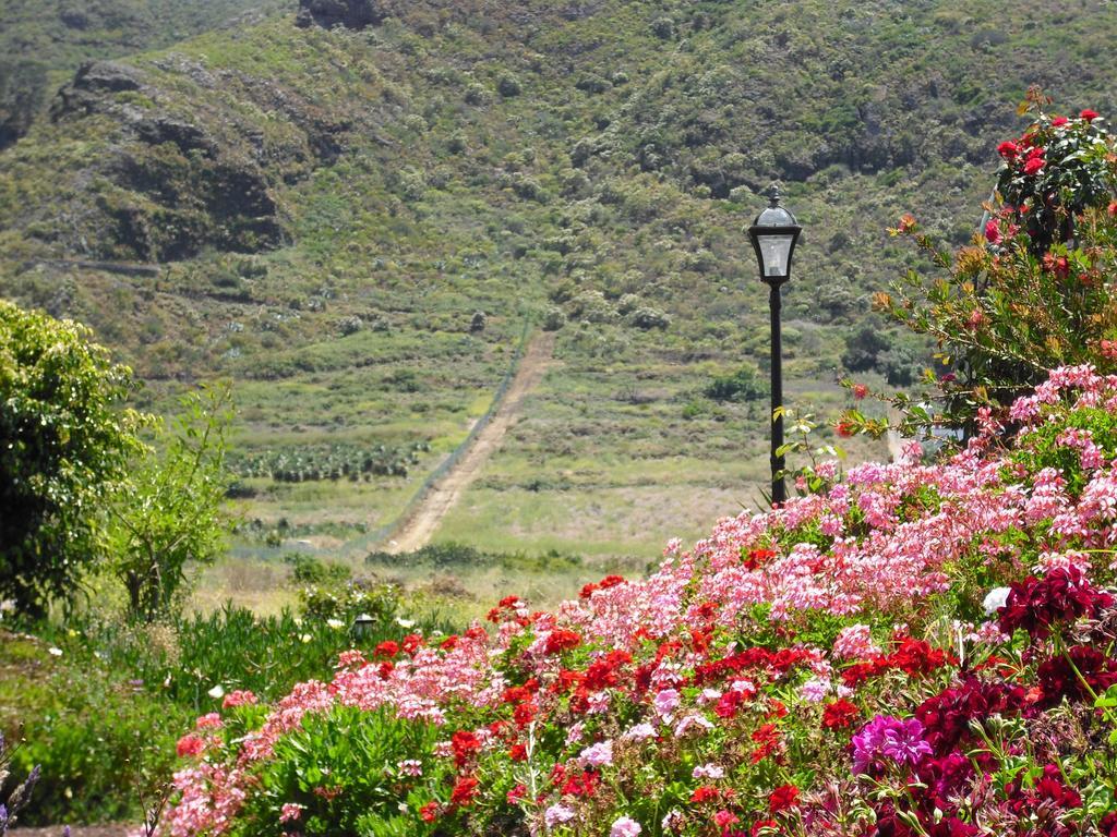 Finca El Picacho Apartments In The Countryside 2 Km From The Beach Tejina Rum bild