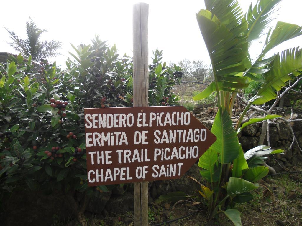 Finca El Picacho Apartments In The Countryside 2 Km From The Beach Tejina Rum bild