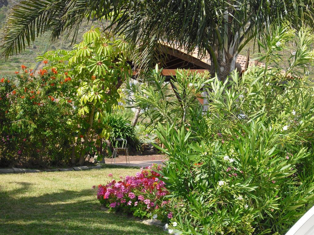Finca El Picacho Apartments In The Countryside 2 Km From The Beach Tejina Exteriör bild