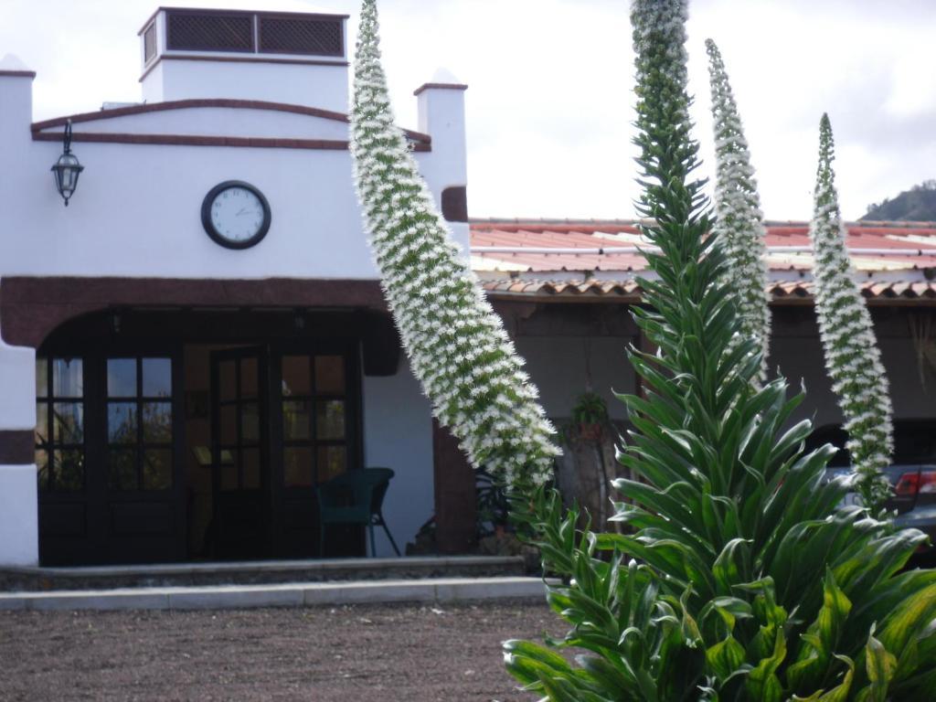 Finca El Picacho Apartments In The Countryside 2 Km From The Beach Tejina Exteriör bild
