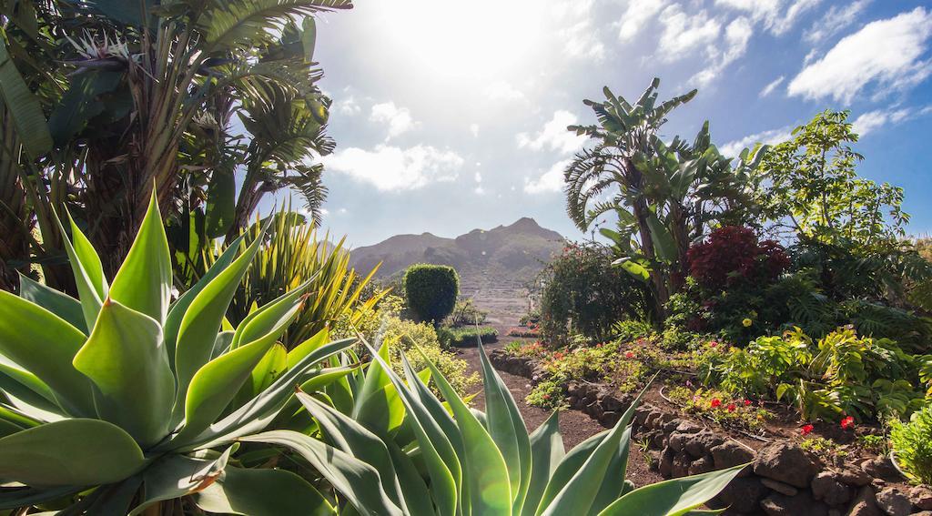 Finca El Picacho Apartments In The Countryside 2 Km From The Beach Tejina Rum bild